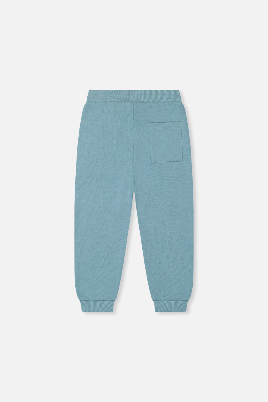 Fleece Sweatpants Pale Turquoise - J20S20_04180