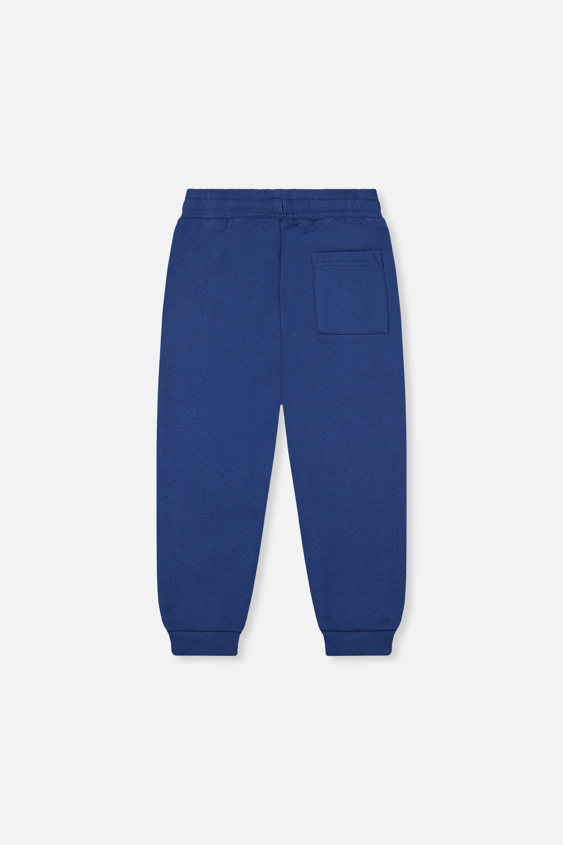 Fleece Sweatpants Blue - J20S20_04800