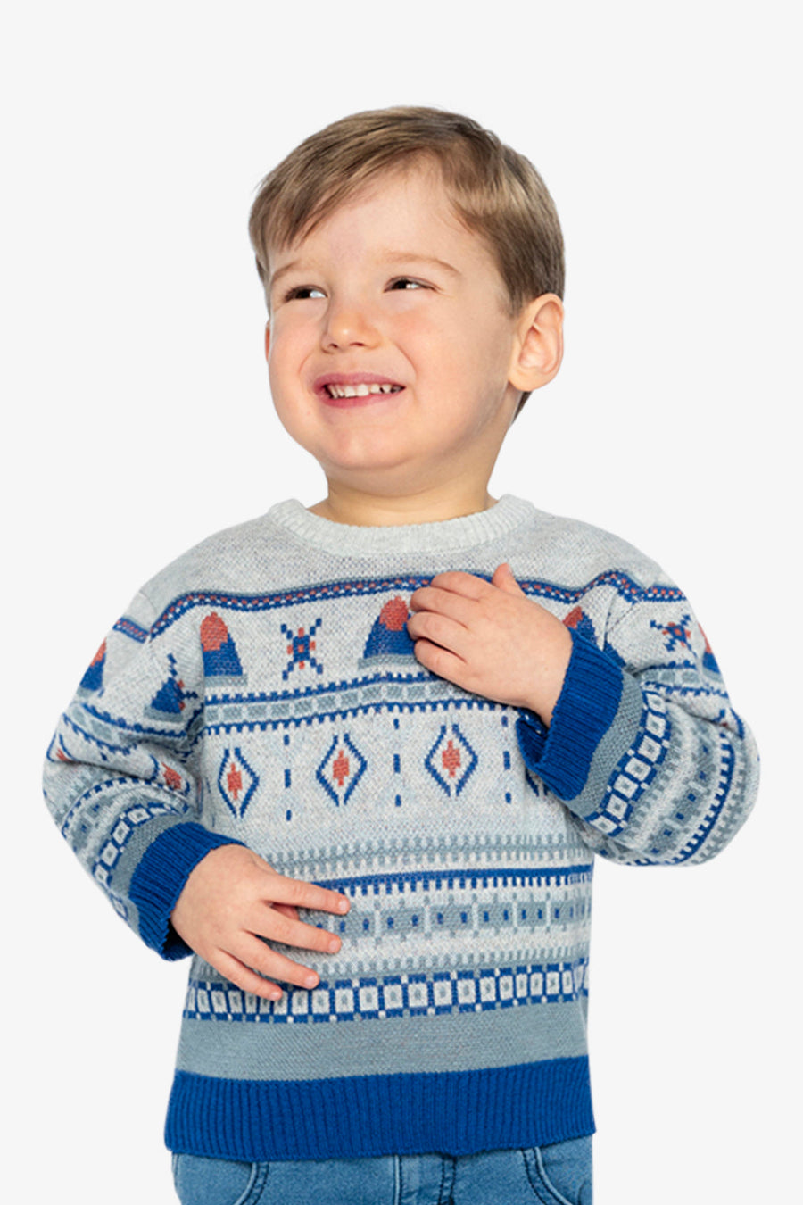 Jacquard Knit Sweater Blue And Beige - J20ST31_04800