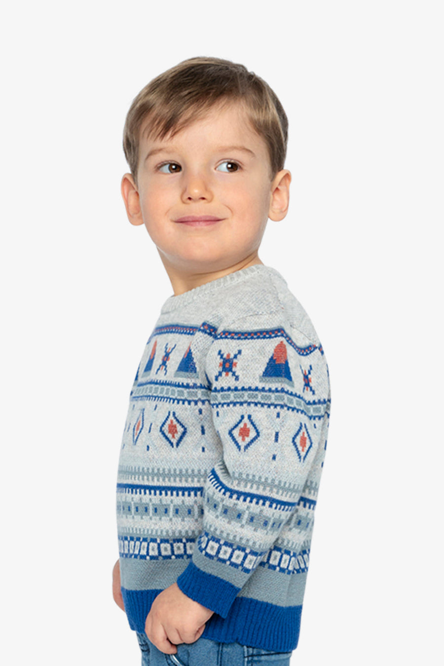Jacquard Knit Sweater Blue And Beige - J20ST31_04800