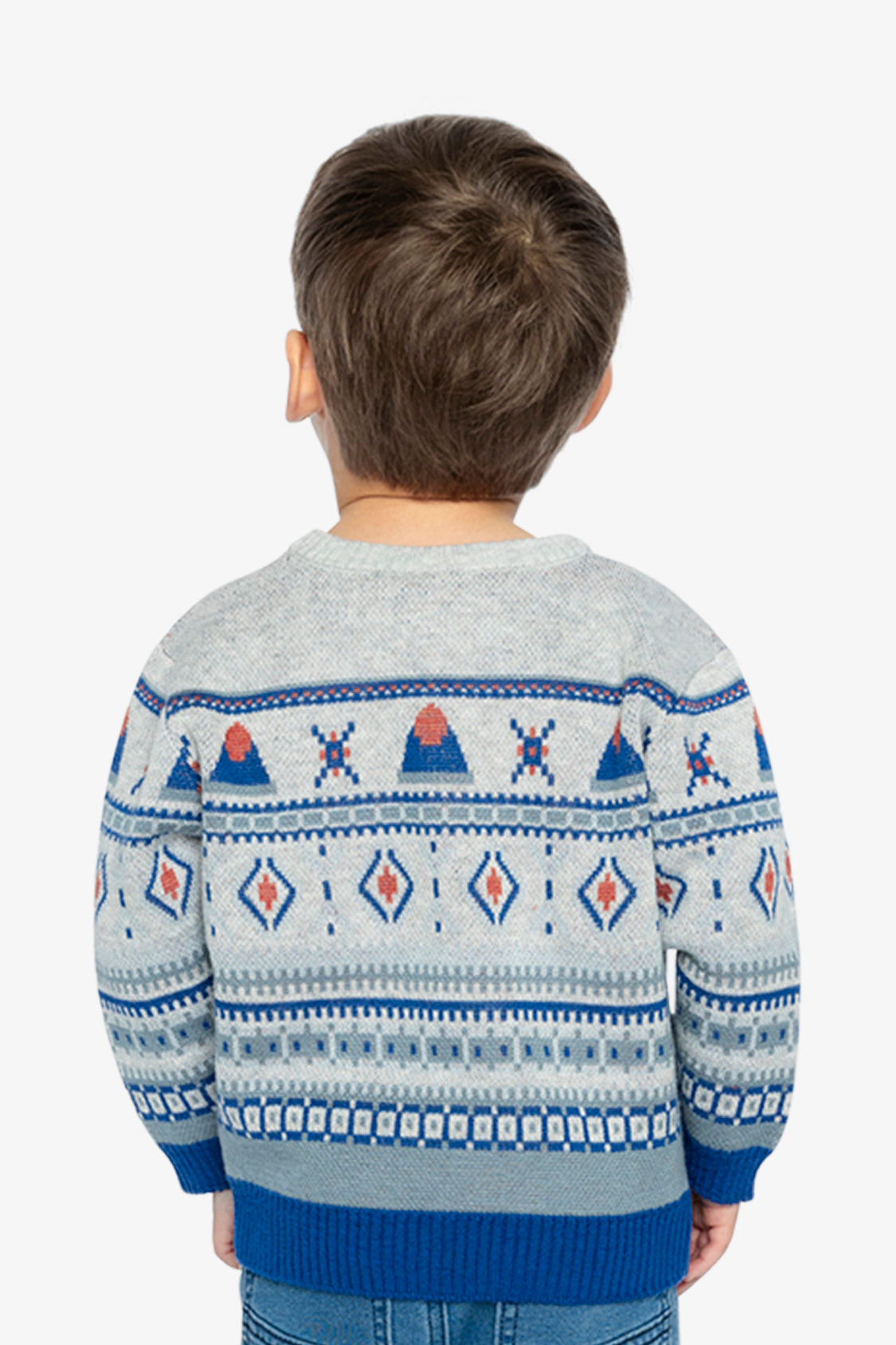 Jacquard Knit Sweater Blue And Beige - J20ST31_04800