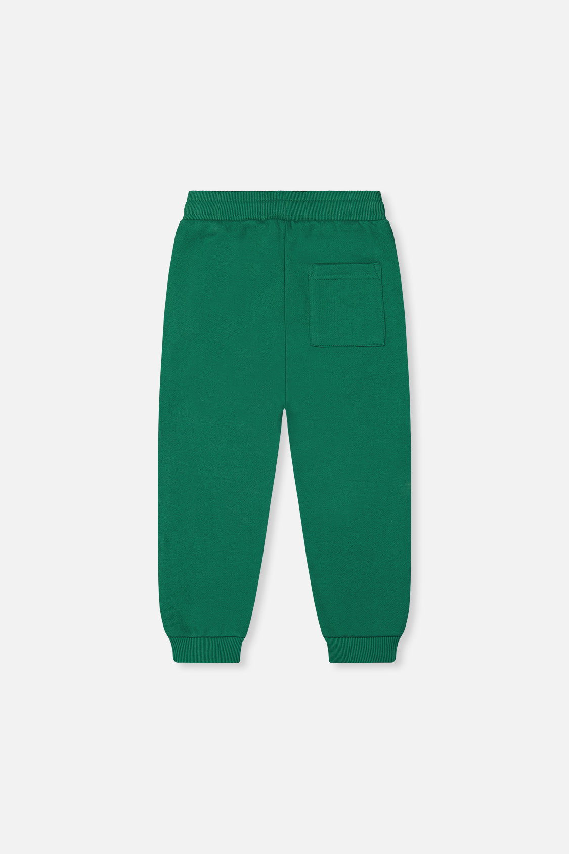 Fleece Sweatpants Green - J20T21_03016