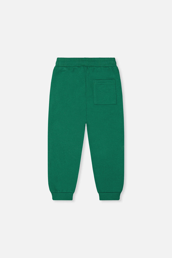 Fleece Sweatpants Green - J20T21_03016