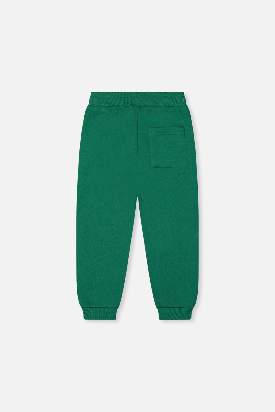 Fleece Sweatpants Green - J20T21_03016