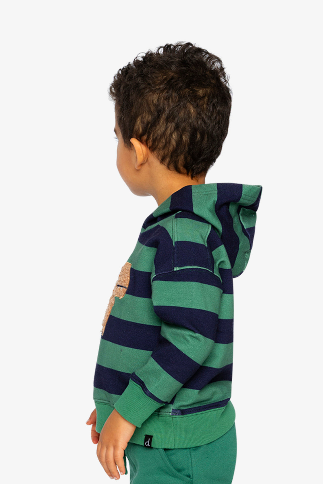 Fleece Hoodie With Applique Blue Striped Green - J20T30_2J262