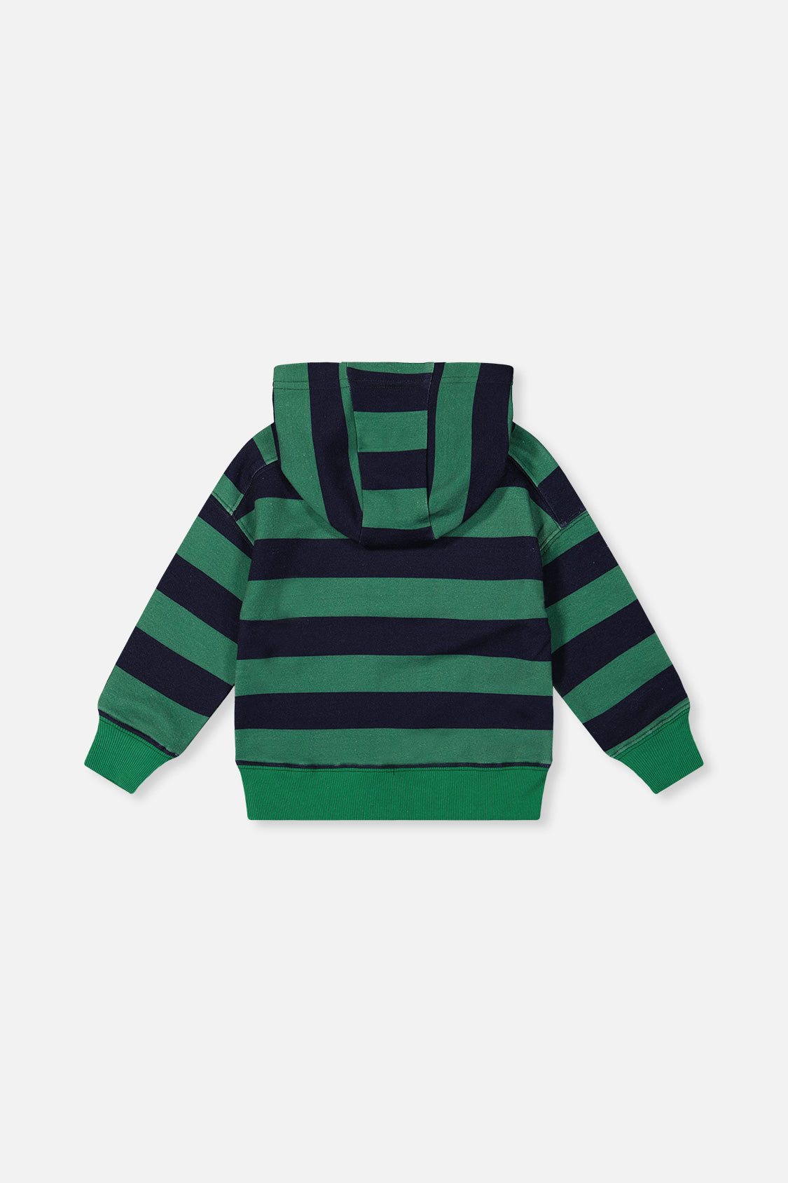 Fleece Hoodie With Applique Blue Striped Green - J20T30_2J262