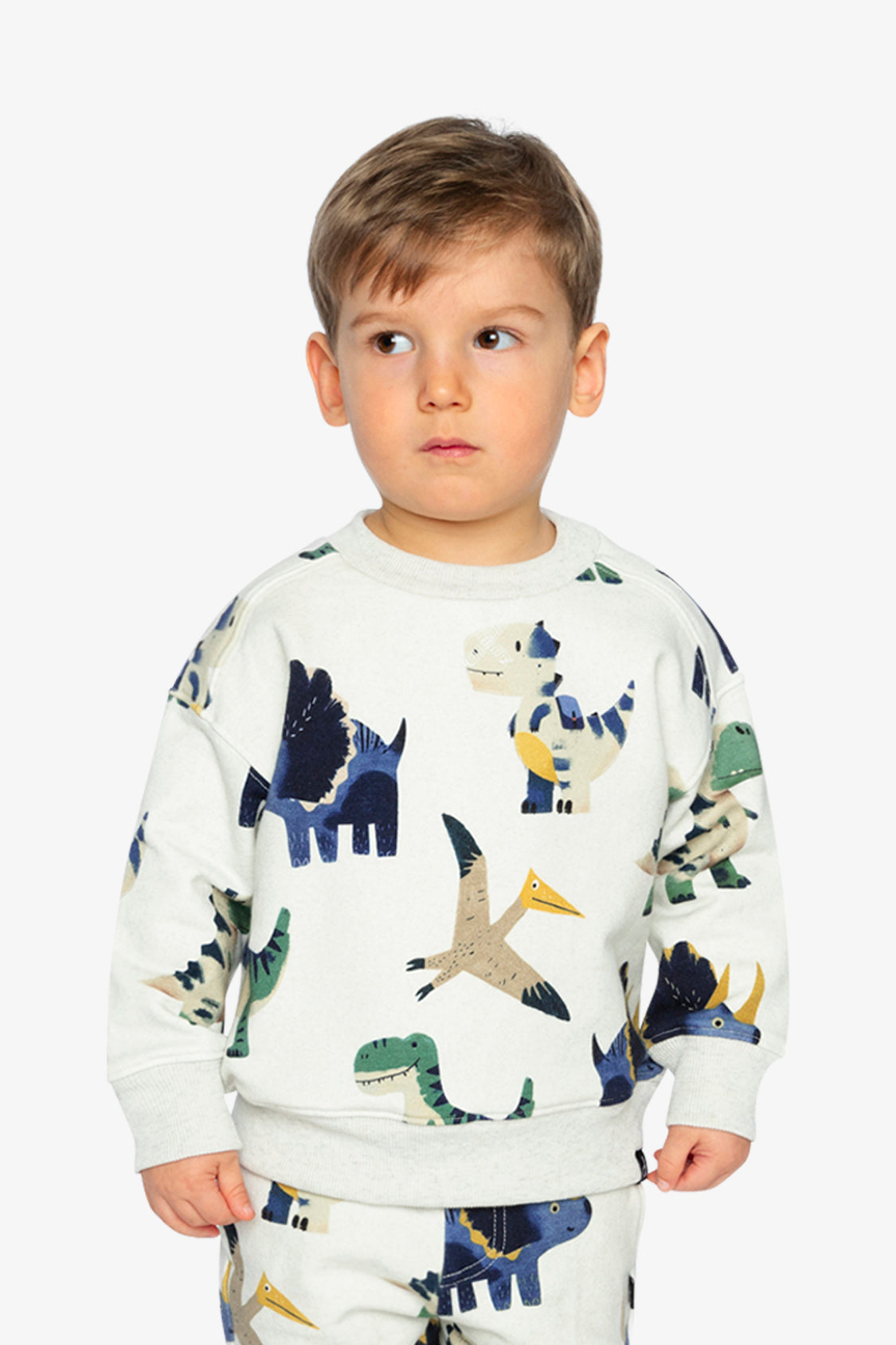 Fleece Sweatshirt Beige Dinosaur Print - J20T32_2J263