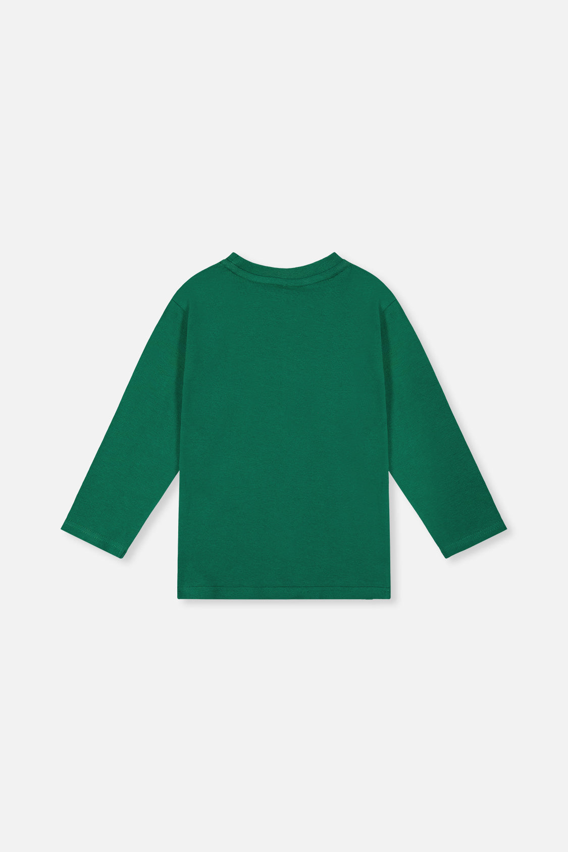 Long Sleeve Organic Cotton T-Shirt Green - J20T70_03016