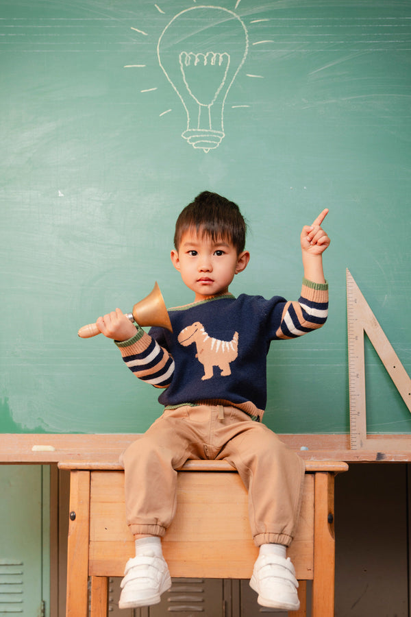 Knit Sweater With Intarsia Dark Blue, Brown And Beige - J20TT30_04810