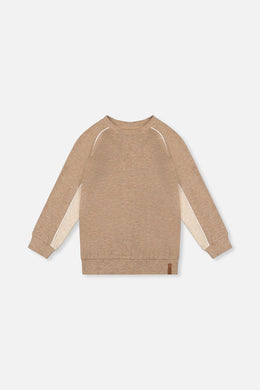 Brushed Jersey Top With Raglan Sleeves Taupe - J20U09_09540