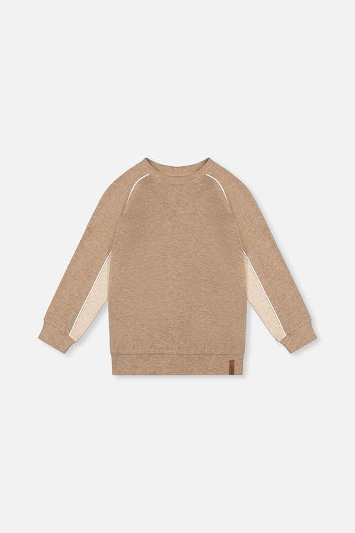 Brushed Jersey Top With Raglan Sleeves Taupe - J20U09_09540