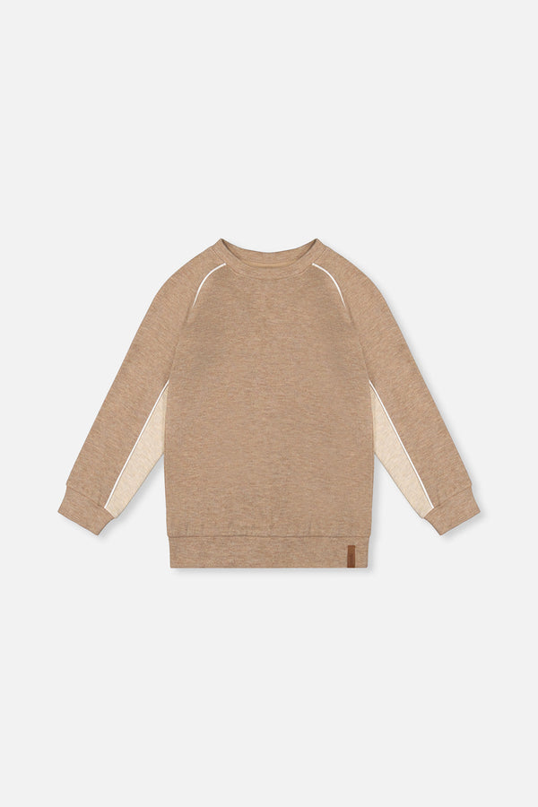 Brushed Jersey Top With Raglan Sleeves Taupe - J20U09_09540