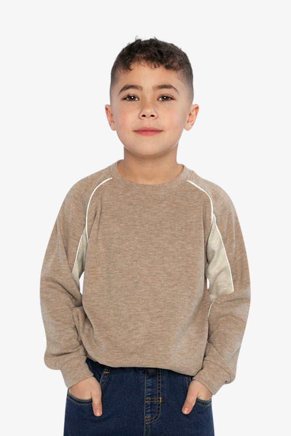 Brushed Jersey Top With Raglan Sleeves Taupe - J20U09_09540
