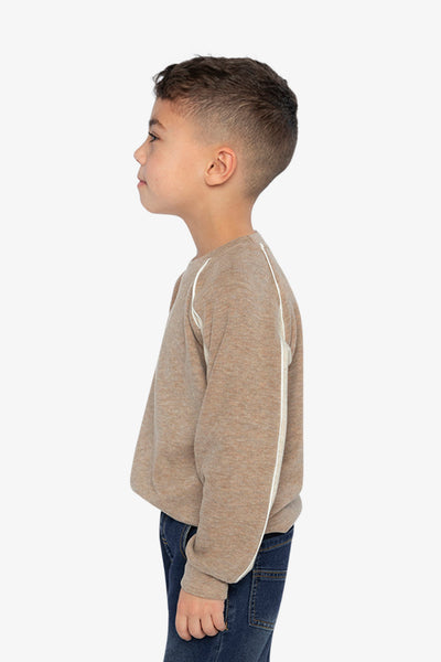 Brushed Jersey Top With Raglan Sleeves Taupe - J20U09_09540