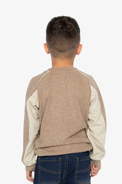 Brushed Jersey Top With Raglan Sleeves Taupe - J20U09_09540