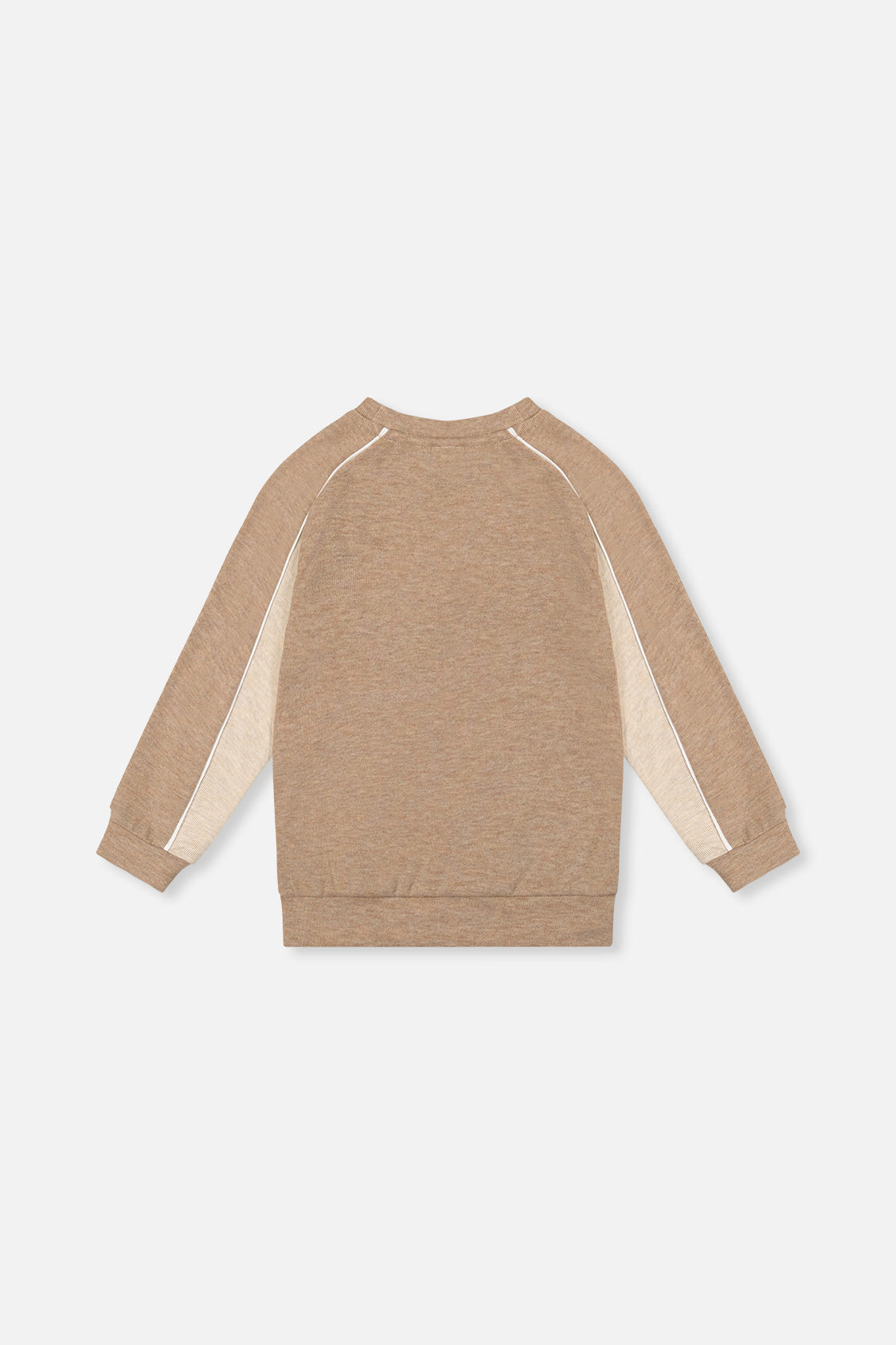 Brushed Jersey Top With Raglan Sleeves Taupe - J20U09_09540