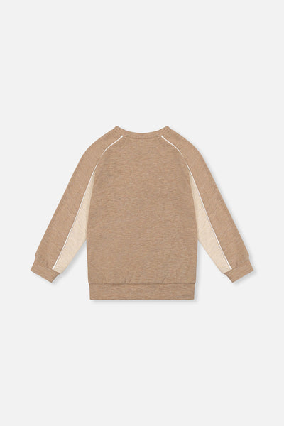 Brushed Jersey Top With Raglan Sleeves Taupe - J20U09_09540
