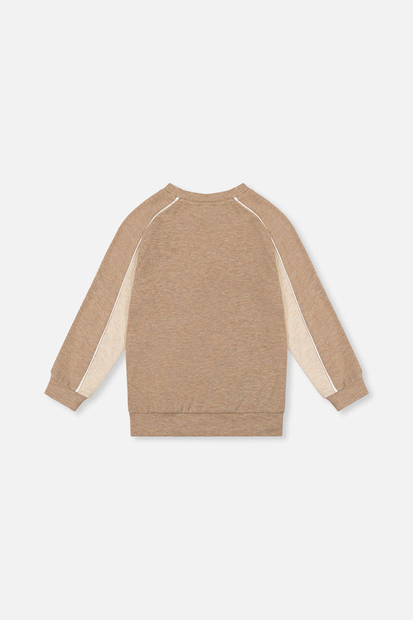 Brushed Jersey Top With Raglan Sleeves Taupe - J20U09_09540