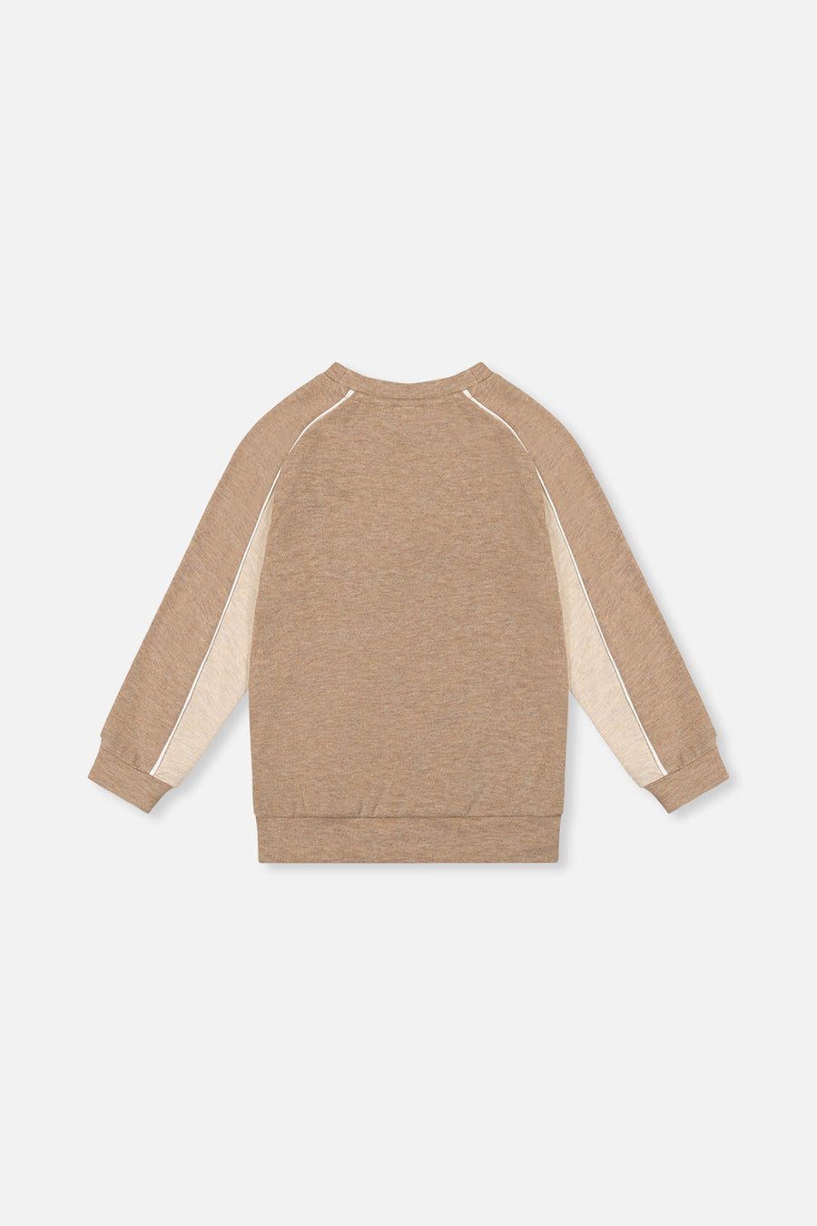Brushed Jersey Top With Raglan Sleeves Taupe - J20U09_09540