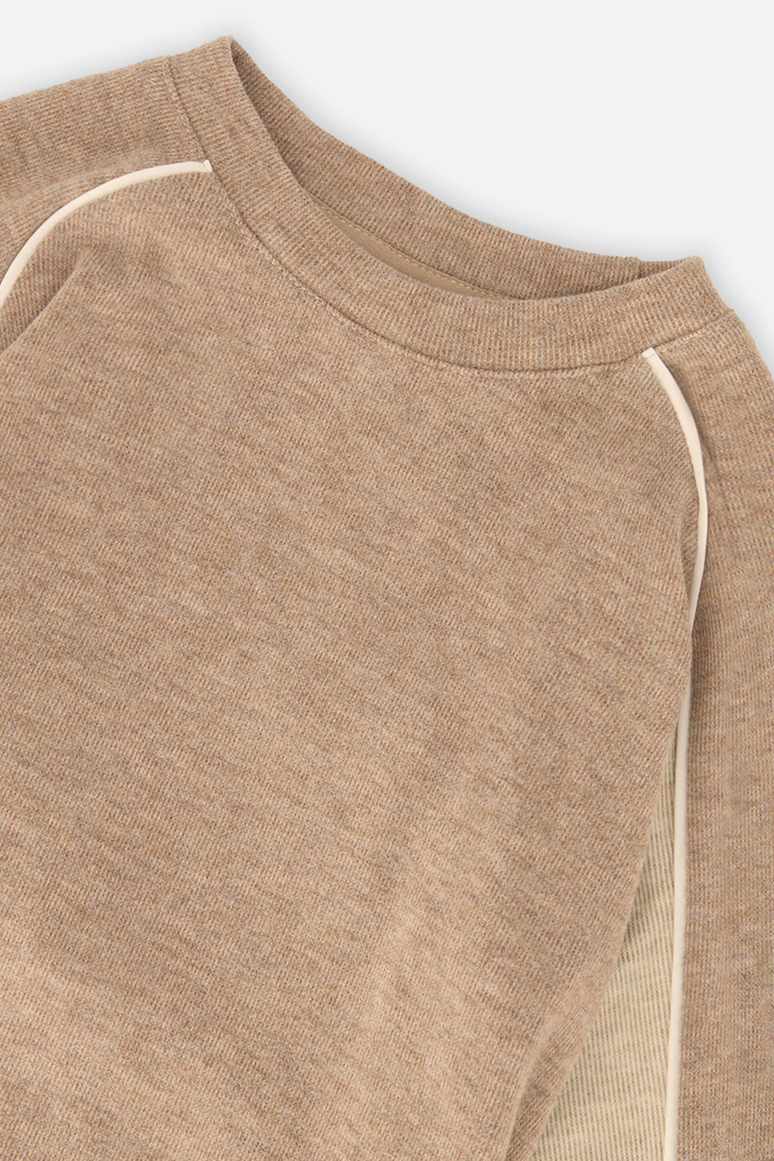 Brushed Jersey Top With Raglan Sleeves Taupe - J20U09_09540