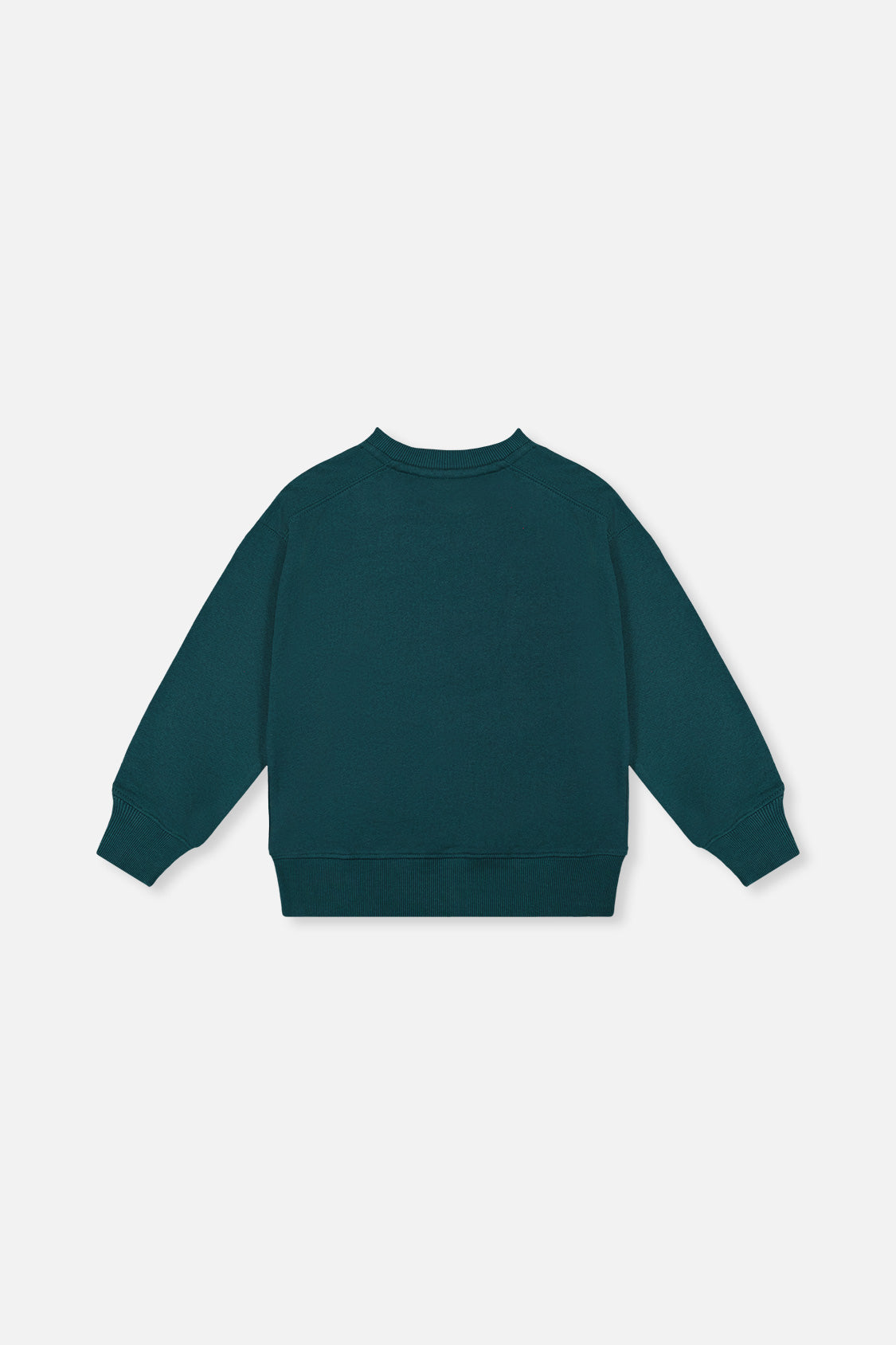 Fleece Sweatshirt Green Forest - J20U34_03930