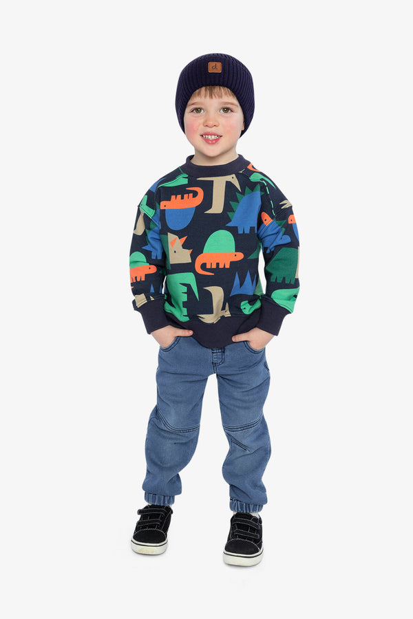 Fleece Sweatshirt Blue Dinosaur Print - J20U35_2J051