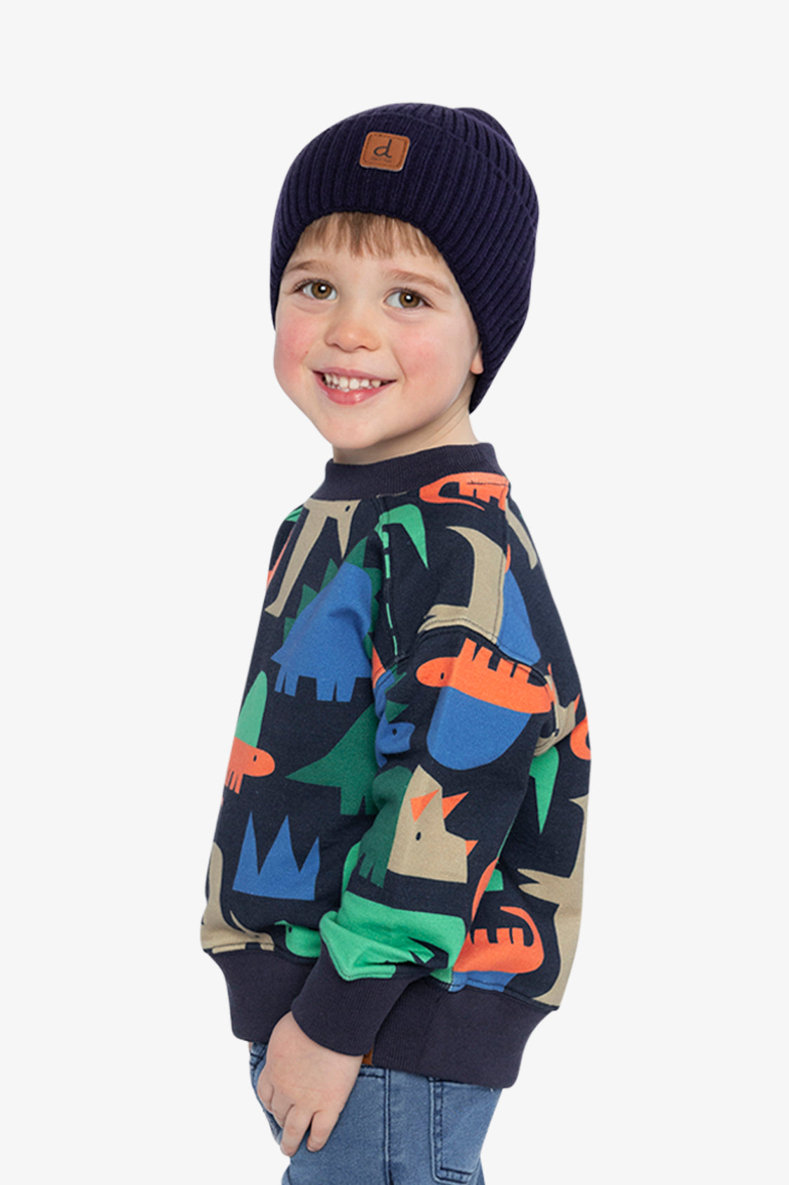 Fleece Sweatshirt Blue Dinosaur Print - J20U35_2J051