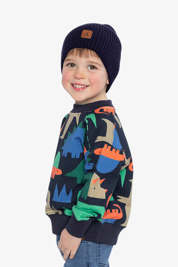Fleece Sweatshirt Blue Dinosaur Print - J20U35_2J051
