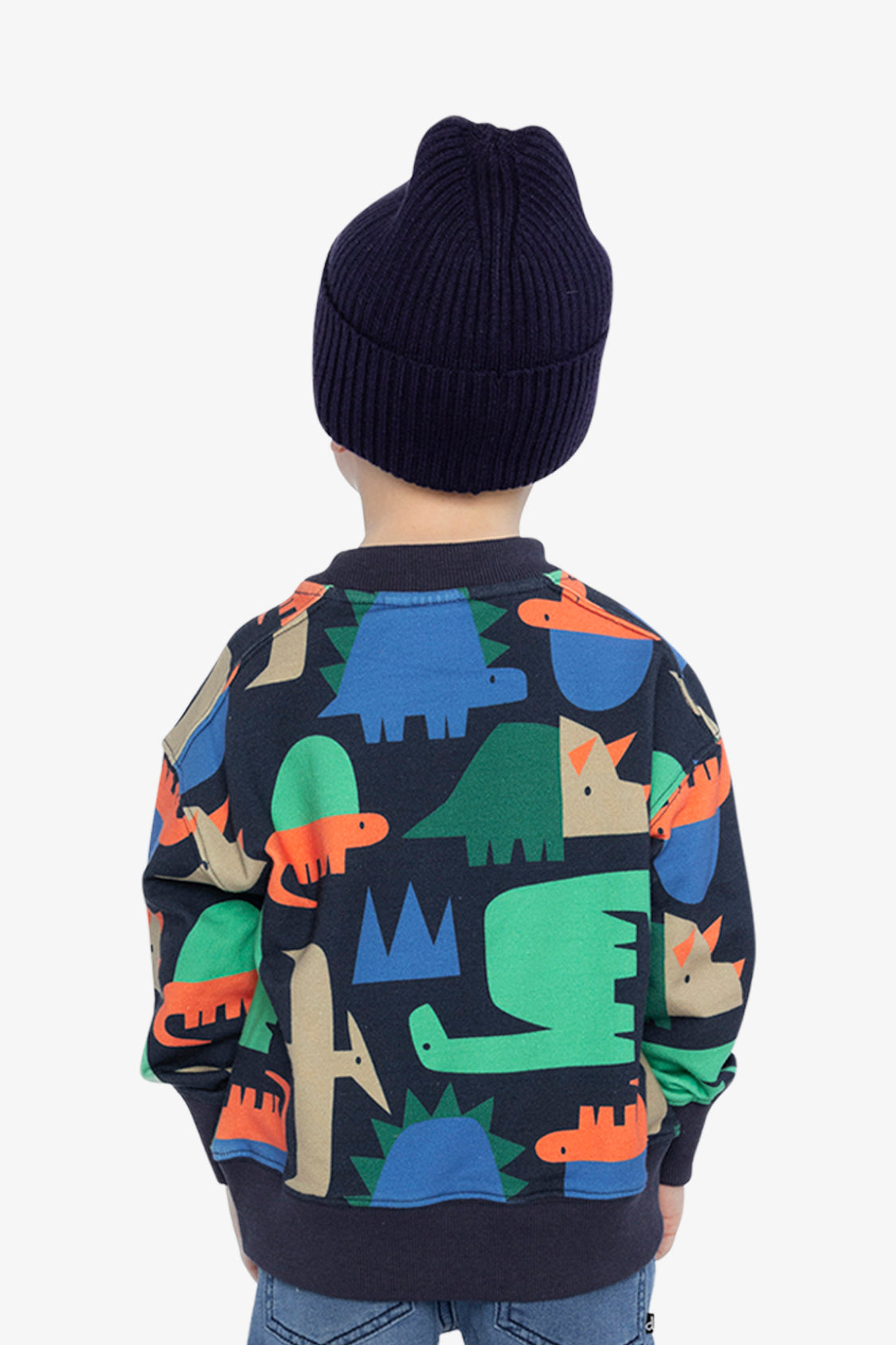 Fleece Sweatshirt Blue Dinosaur Print - J20U35_2J051