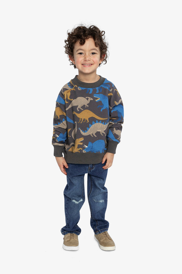 Fleece Sweatshirt Grey Dinosaur Print - J20U37_2J057