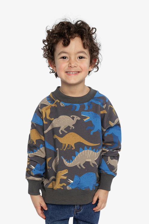 Fleece Sweatshirt Grey Dinosaur Print - J20U37_2J057