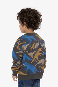 Fleece Sweatshirt Grey Dinosaur Print - J20U37_2J057