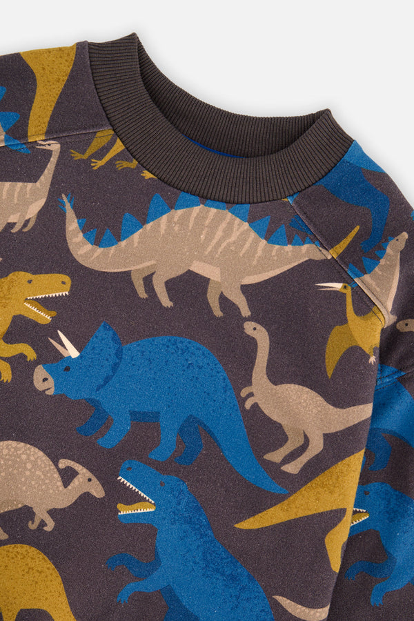 Fleece Sweatshirt Grey Dinosaur Print - J20U37_2J057
