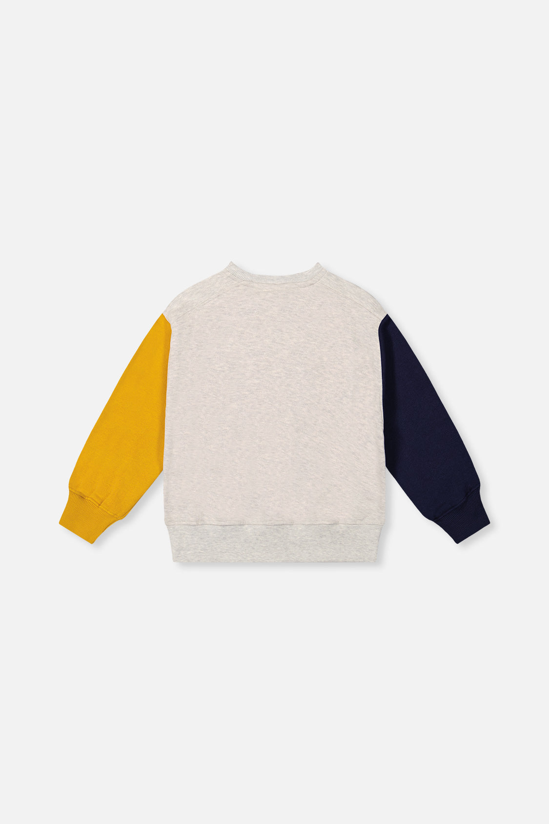Fleece Sweatshirt Heather Grey, Yellow And Blue - J20U40_01930