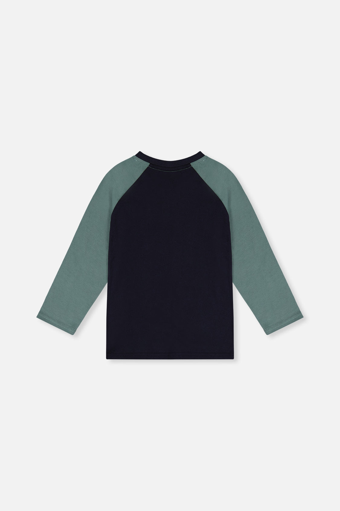 Raglan T-Shirt Dark Blue And Green - J20U69_04810