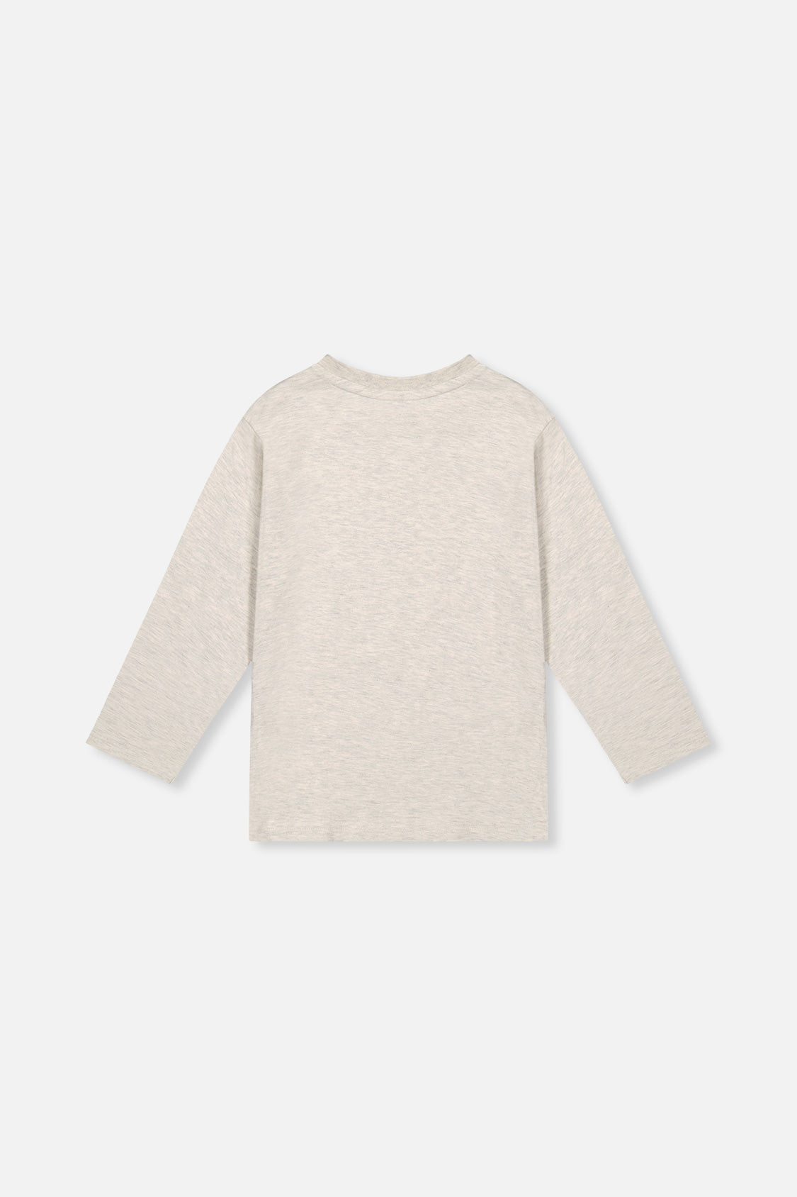 Organic Cotton Long Sleeve T-Shirt Heather Grey - J20YB70_01930