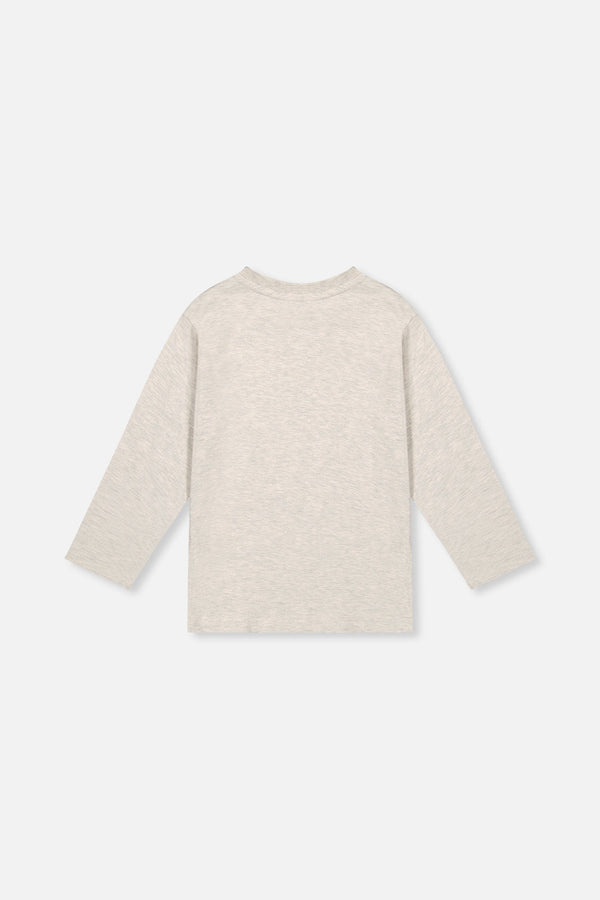 Organic Cotton Long Sleeve T-Shirt Heather Grey - J20YB70_01930