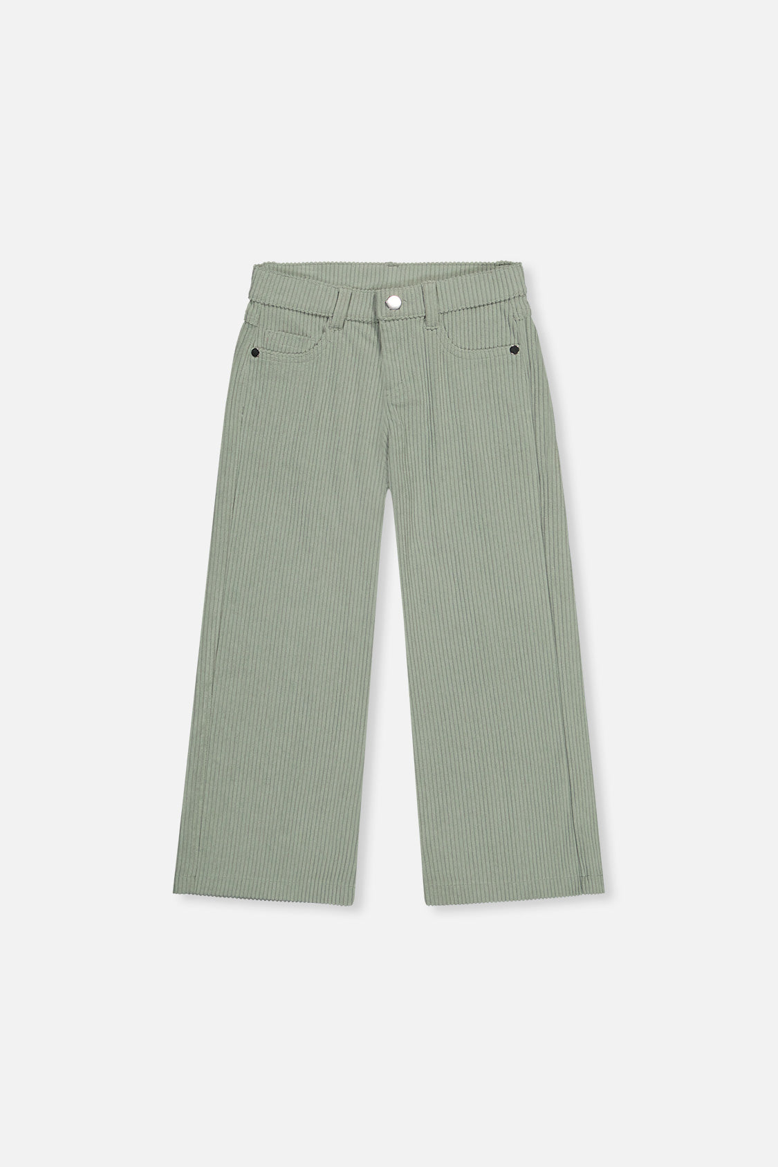 Stretch Corduroy Wide Leg Pants Pale Turquoise - J20YG21_03250