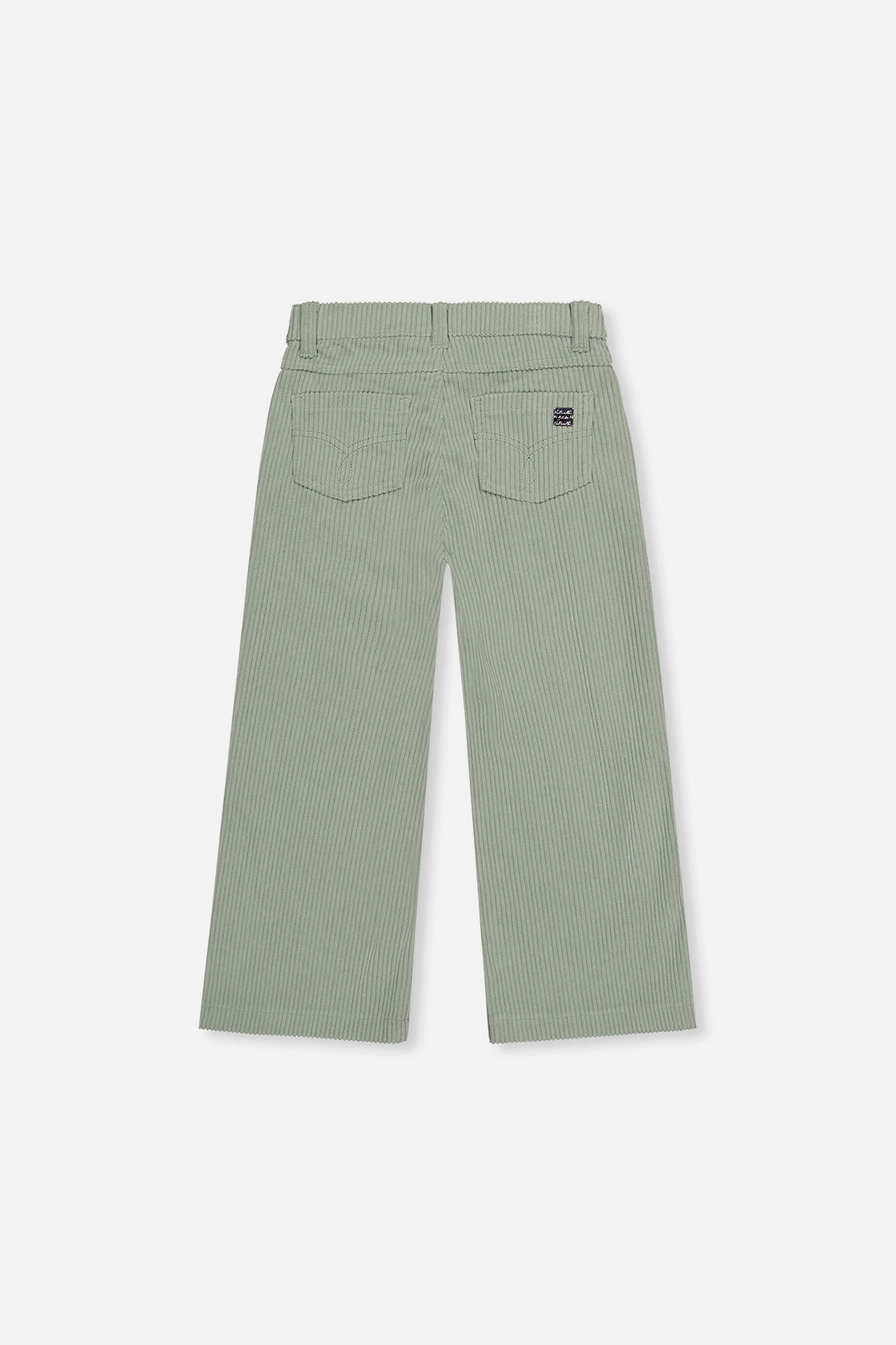 Stretch Corduroy Wide Leg Pants Pale Turquoise - J20YG21_03250