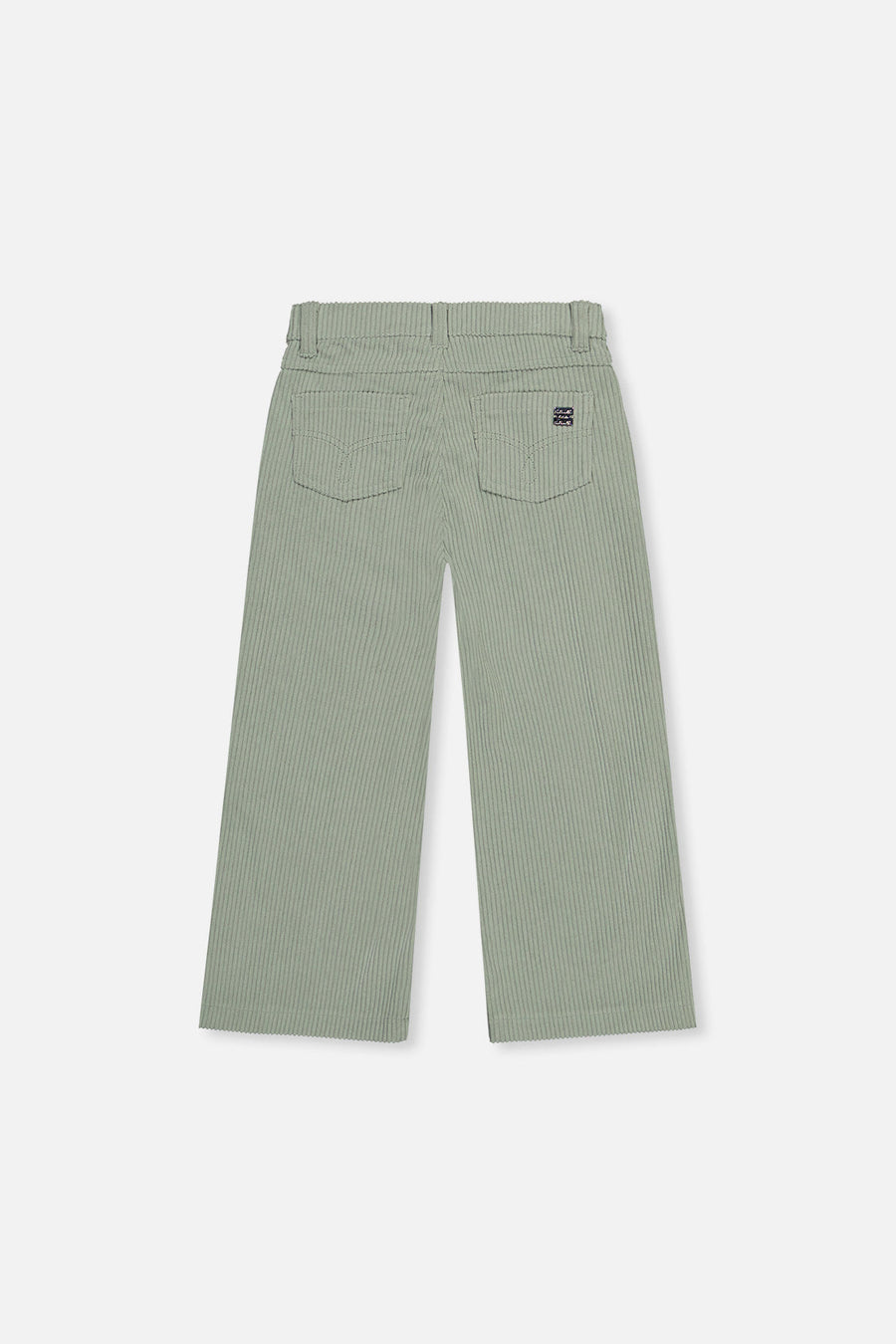 Stretch Corduroy Wide Leg Pants Pale Turquoise - J20YG21_03250