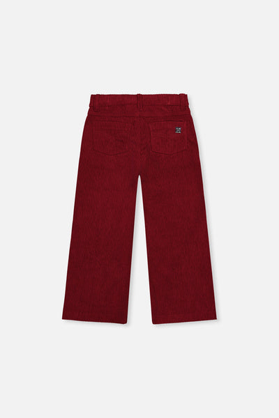 Stretch Corduroy Wide Leg Pants Reddish-Brown - J20YG21_07001