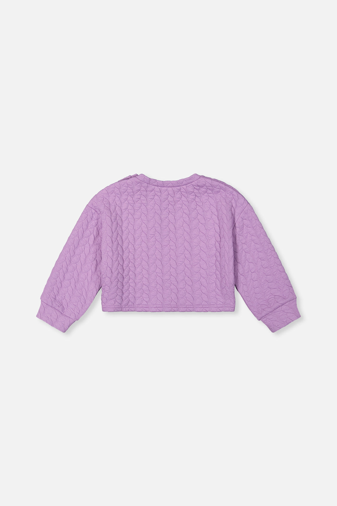 Jacquard Sweatshirt Purple - J20YG32_05930