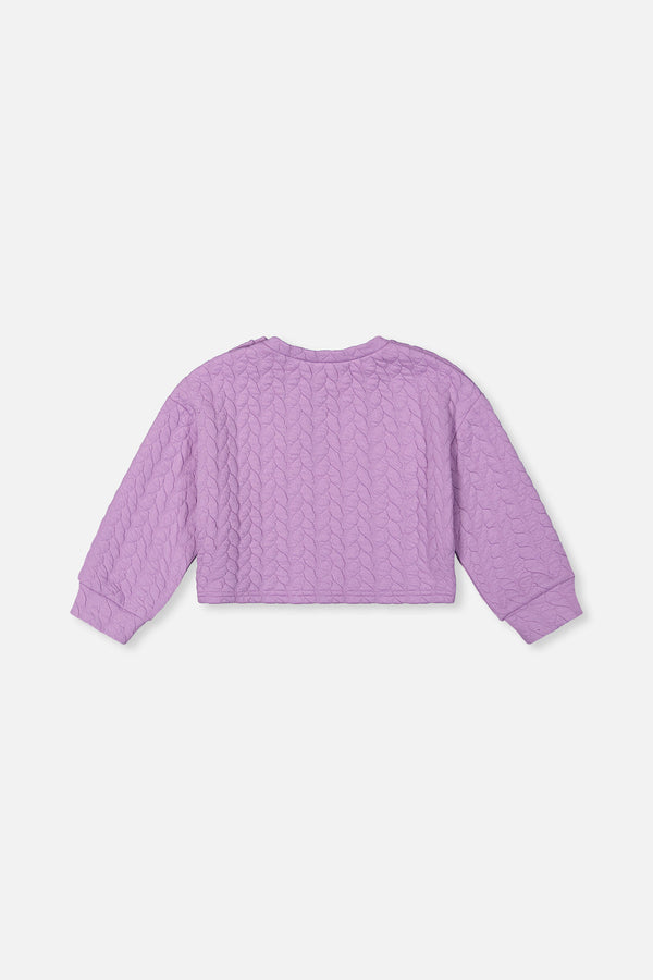 Jacquard Sweatshirt Purple - J20YG32_05930