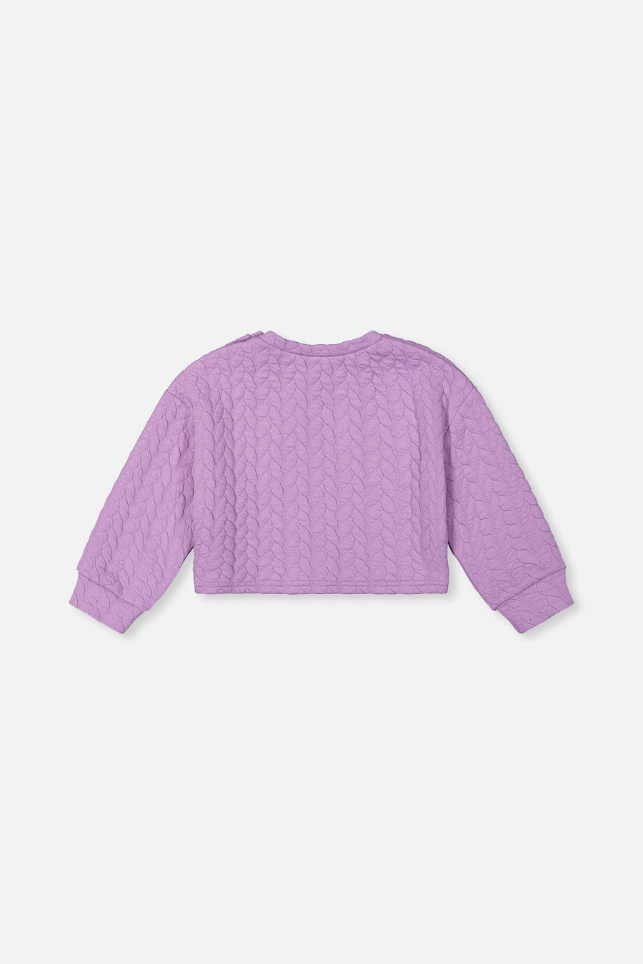 Jacquard Sweatshirt Purple - J20YG32_05930