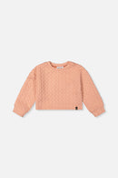 Jacquard Sweatshirt Pink - J20YG32_08100