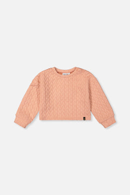 Jacquard Sweatshirt Pink - J20YG32_08100