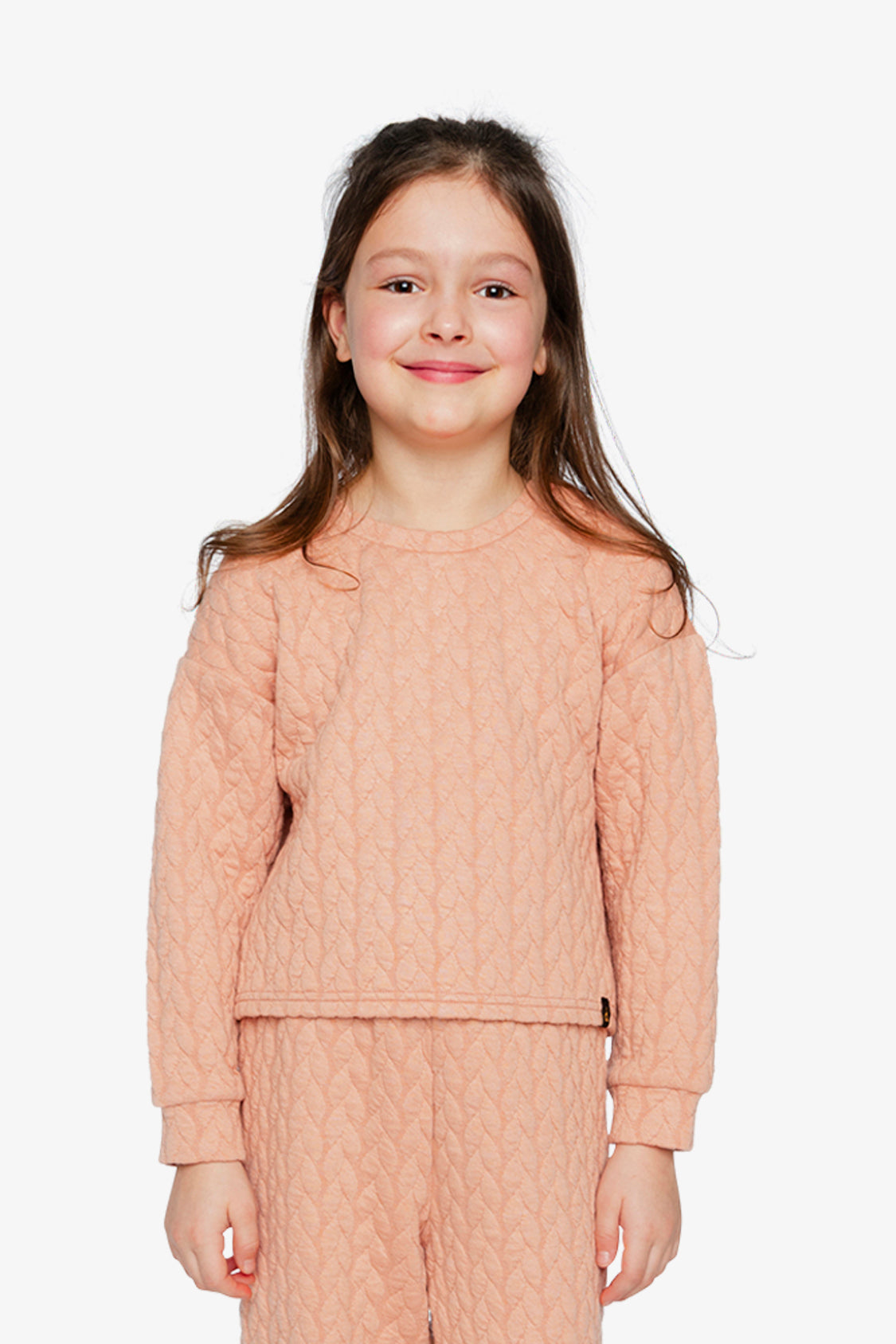 Jacquard Sweatshirt Pink - J20YG32_08100