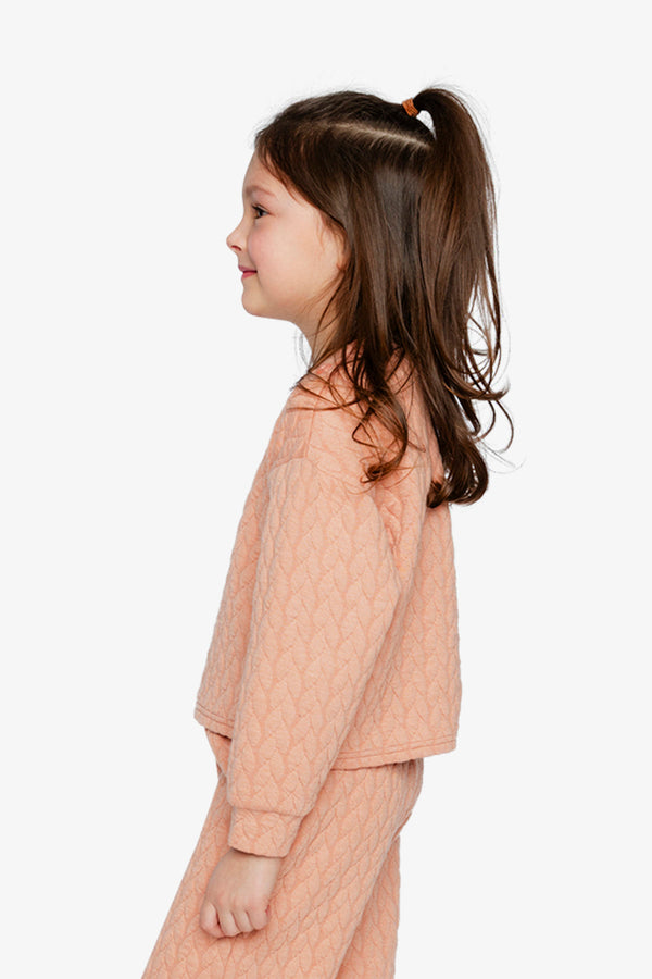 Jacquard Sweatshirt Pink - J20YG32_08100
