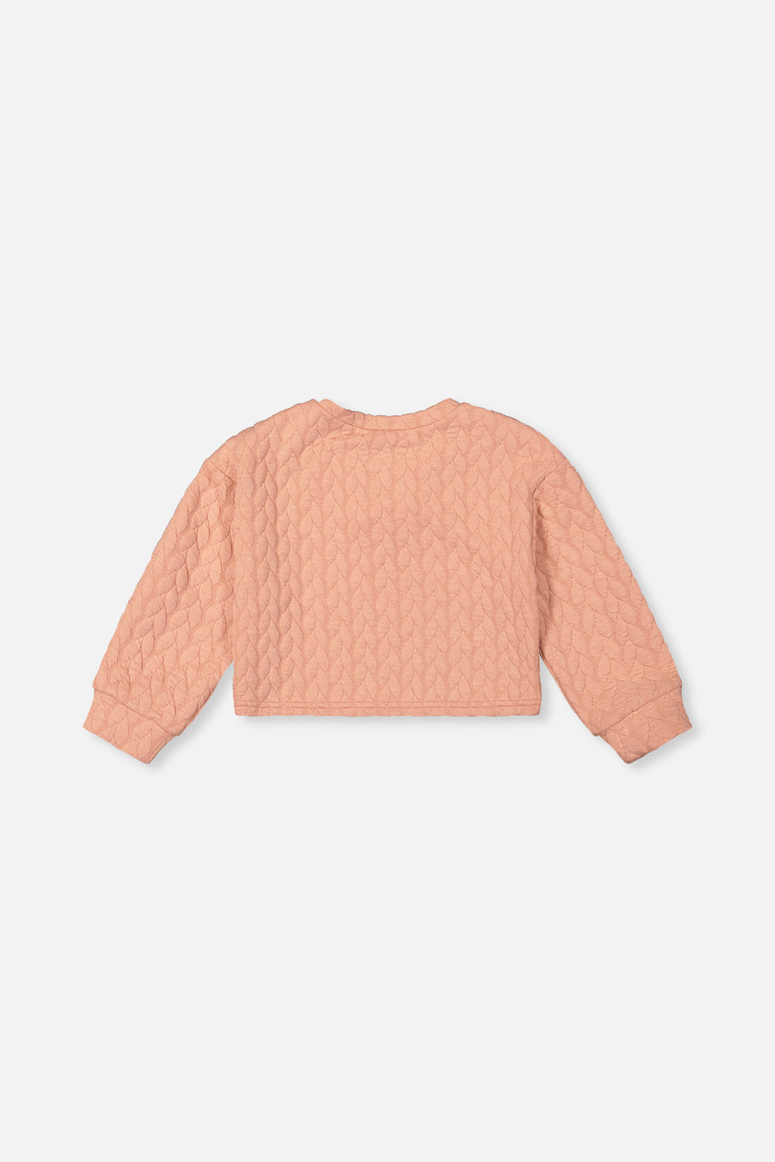 Jacquard Sweatshirt Pink - J20YG32_08100