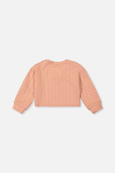 Jacquard Sweatshirt Pink - J20YG32_08100